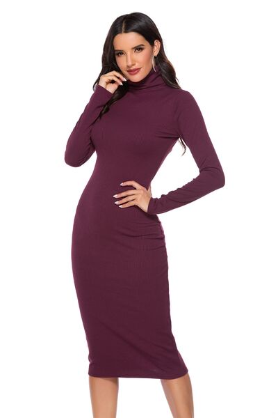 Ribbed Turtleneck Long Sleeve Dress - WAZKA