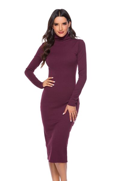 Ribbed Turtleneck Long Sleeve Dress - WAZKA