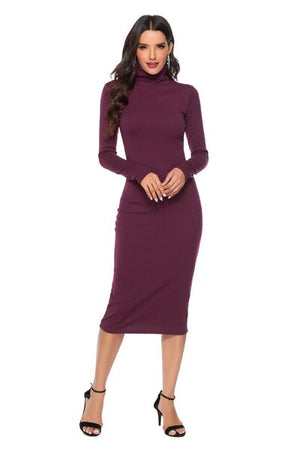 Ribbed Turtleneck Long Sleeve Dress - WAZKA